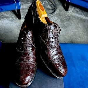 Excellent alligator derby